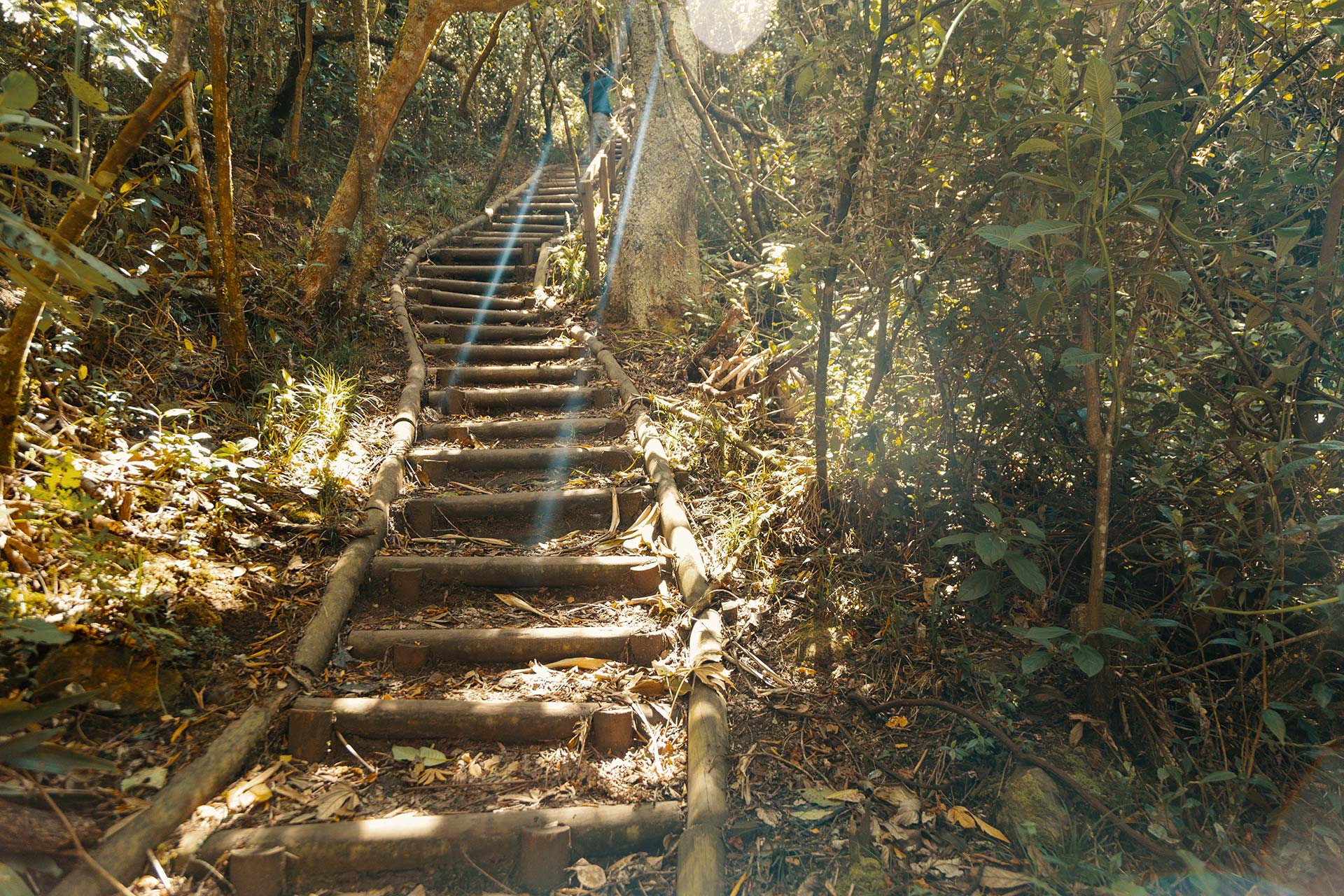 Adventure in Bogotá