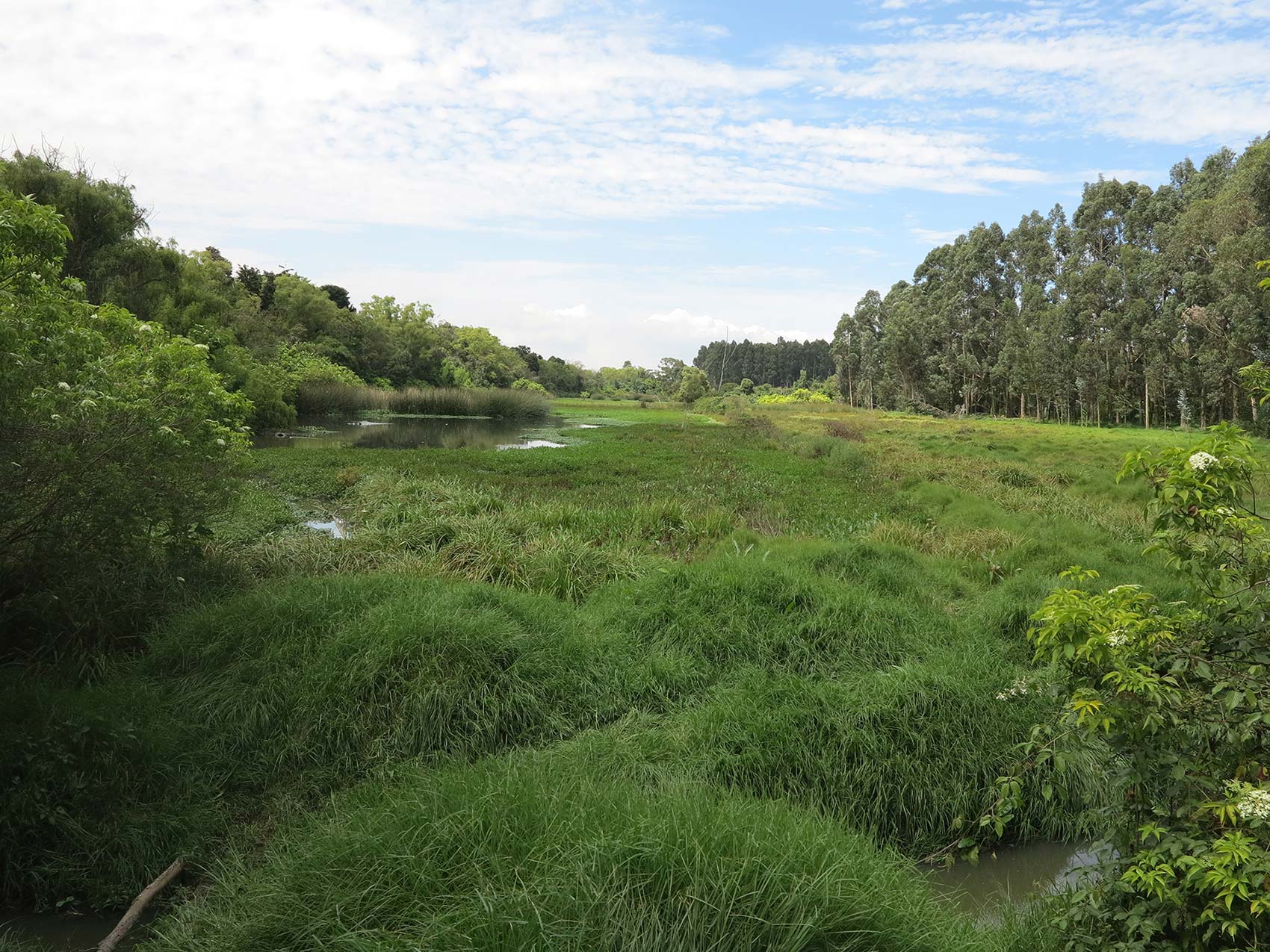 Parque Ecológico Distrital de Humedal La Conejera