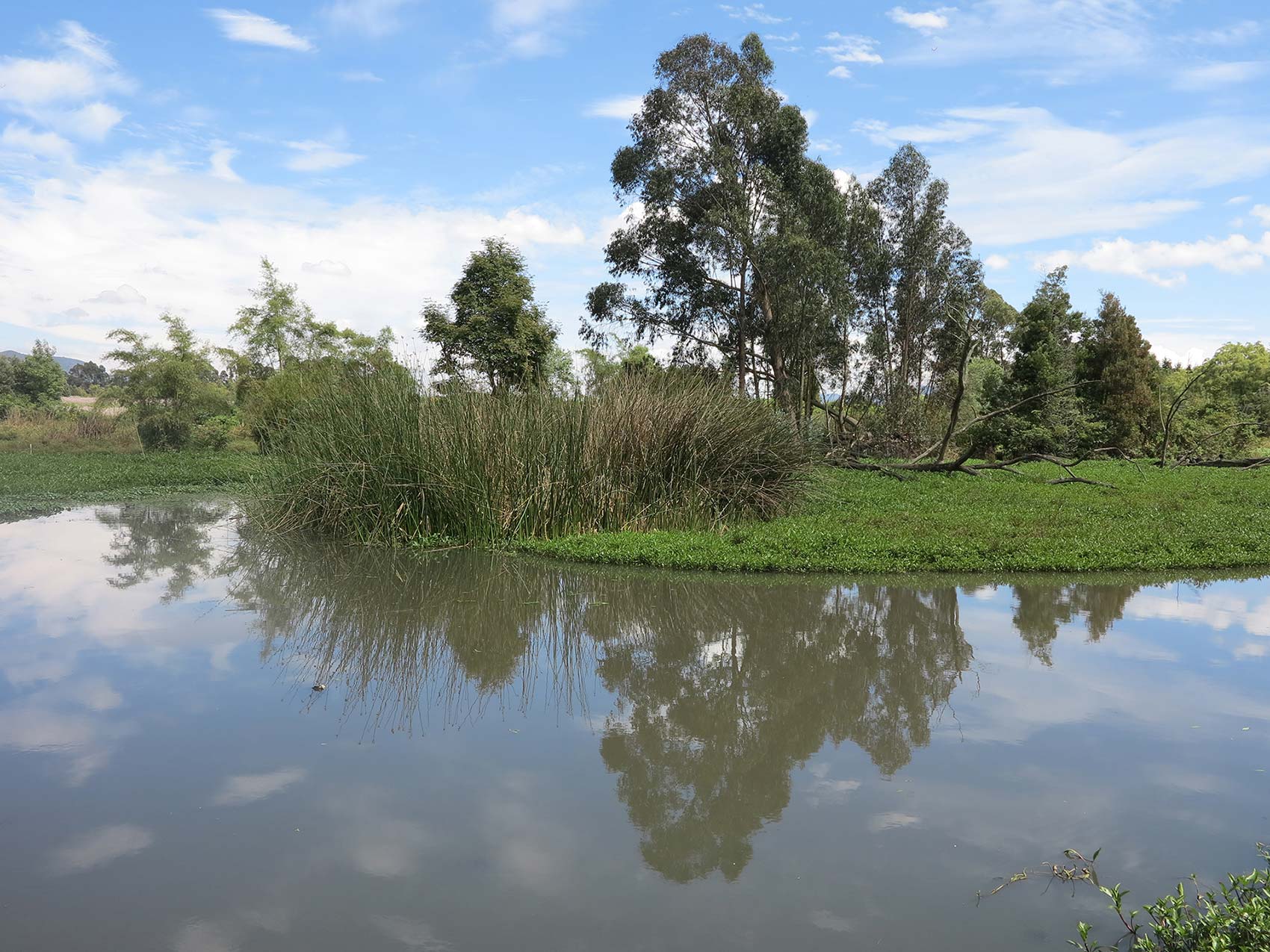 Parque Ecológico Distrital de Humedal La Conejera