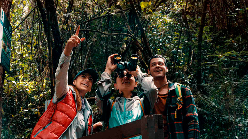 Bogotá con Amigos