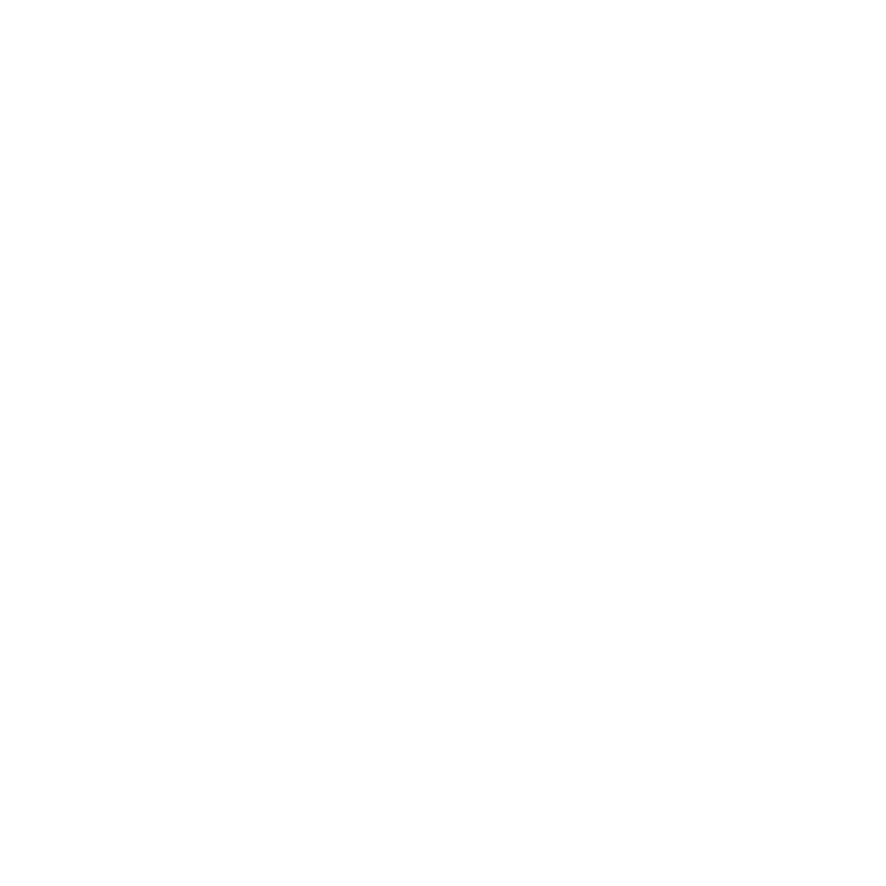 ciclovia ICON