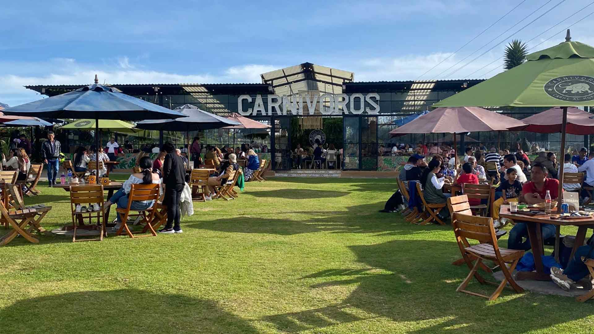 Carnivoros