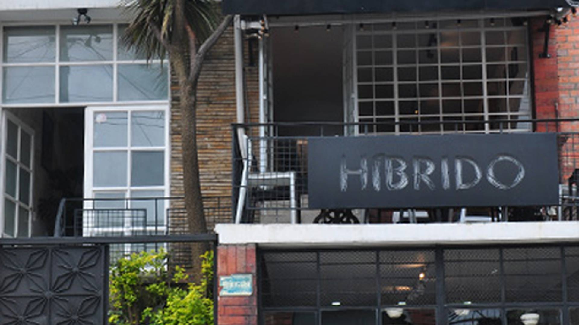 Híbrido