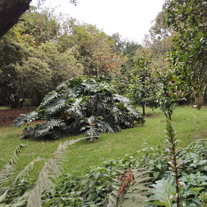 Naturaleza en Bogota
