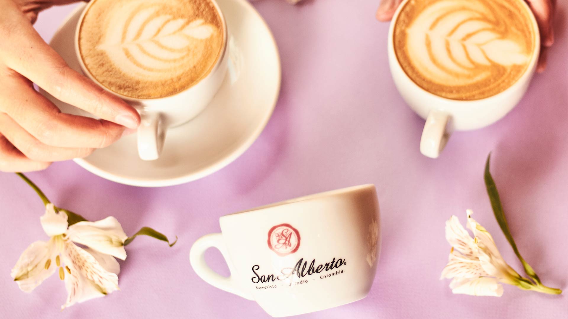 Café San Alberto