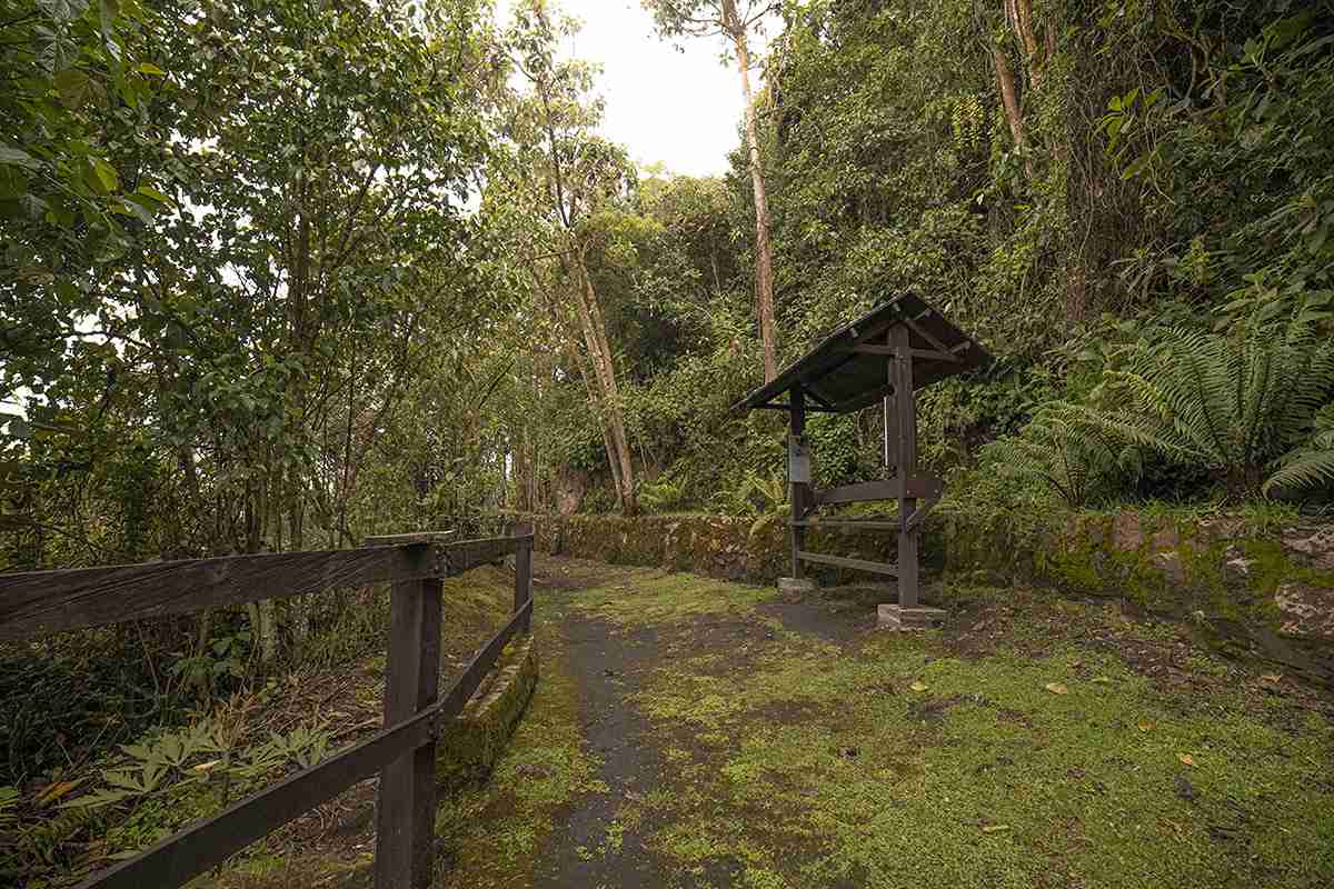 One of the trails you can walk on your visit to Monserrate. Photo by Ricardo Báez, Bogotá Tourism Office