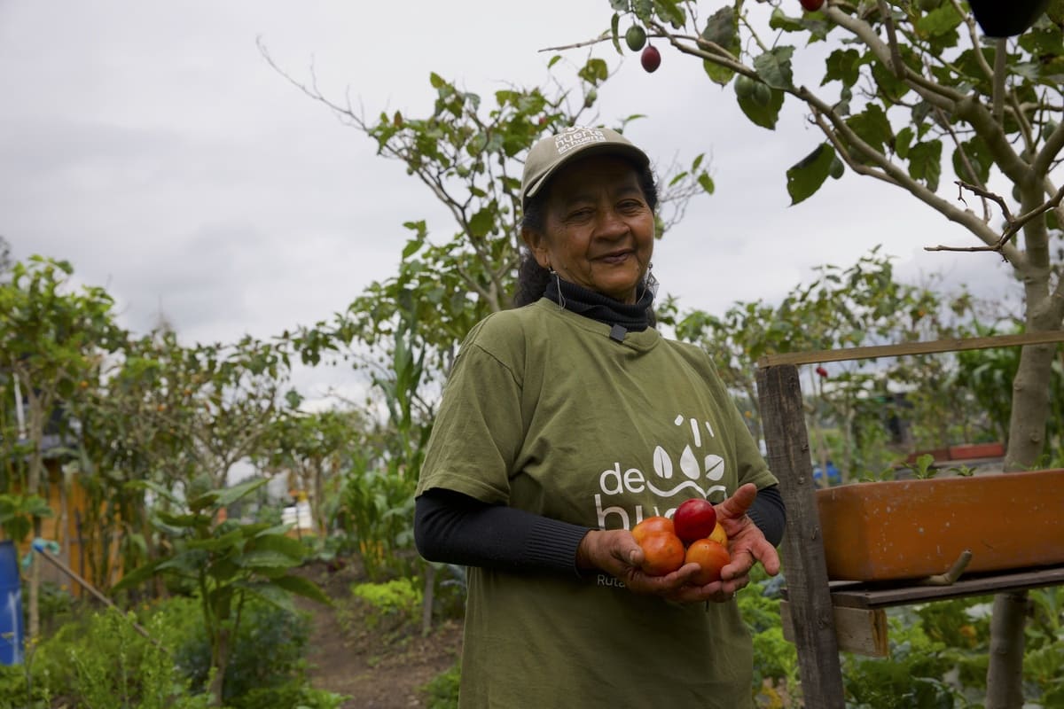 Melba Castrillón, cofundadora de la Huerta Guerreras y Guerreros muestra los de árbol cosechados en la huerta. Foto.Juan José Sotelo - IDT