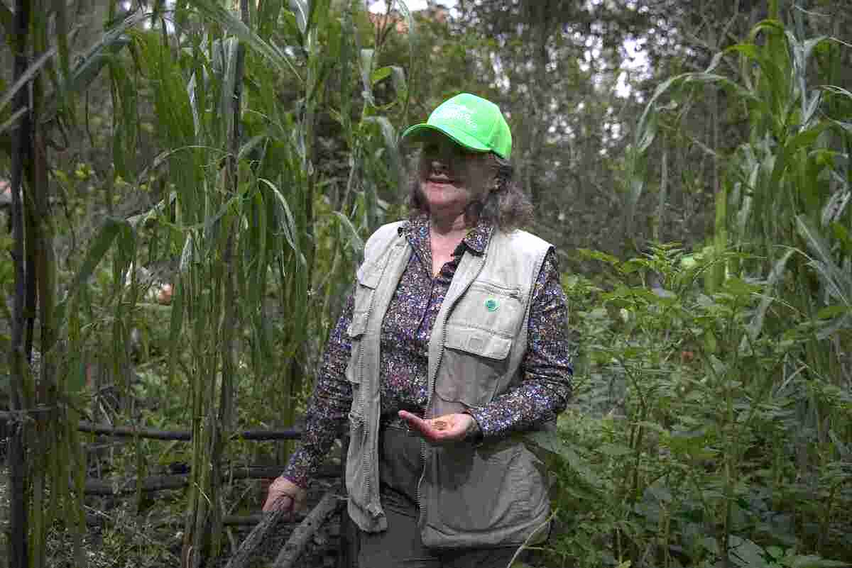 Lupita de Heredia, administradora y creadora del proyecto Huerta Lupita de los Cerros en el Sendero de las Moyas. Fotografía: Juan José Sotelo - IDT