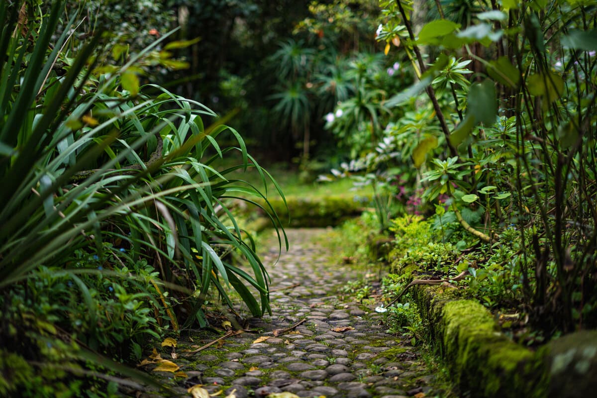 Camino que lleva a la huerta y a las zonas verdes ubicadas en la Quinta de Bolívar. Fotografía: Manuela Picón Reina - IDT