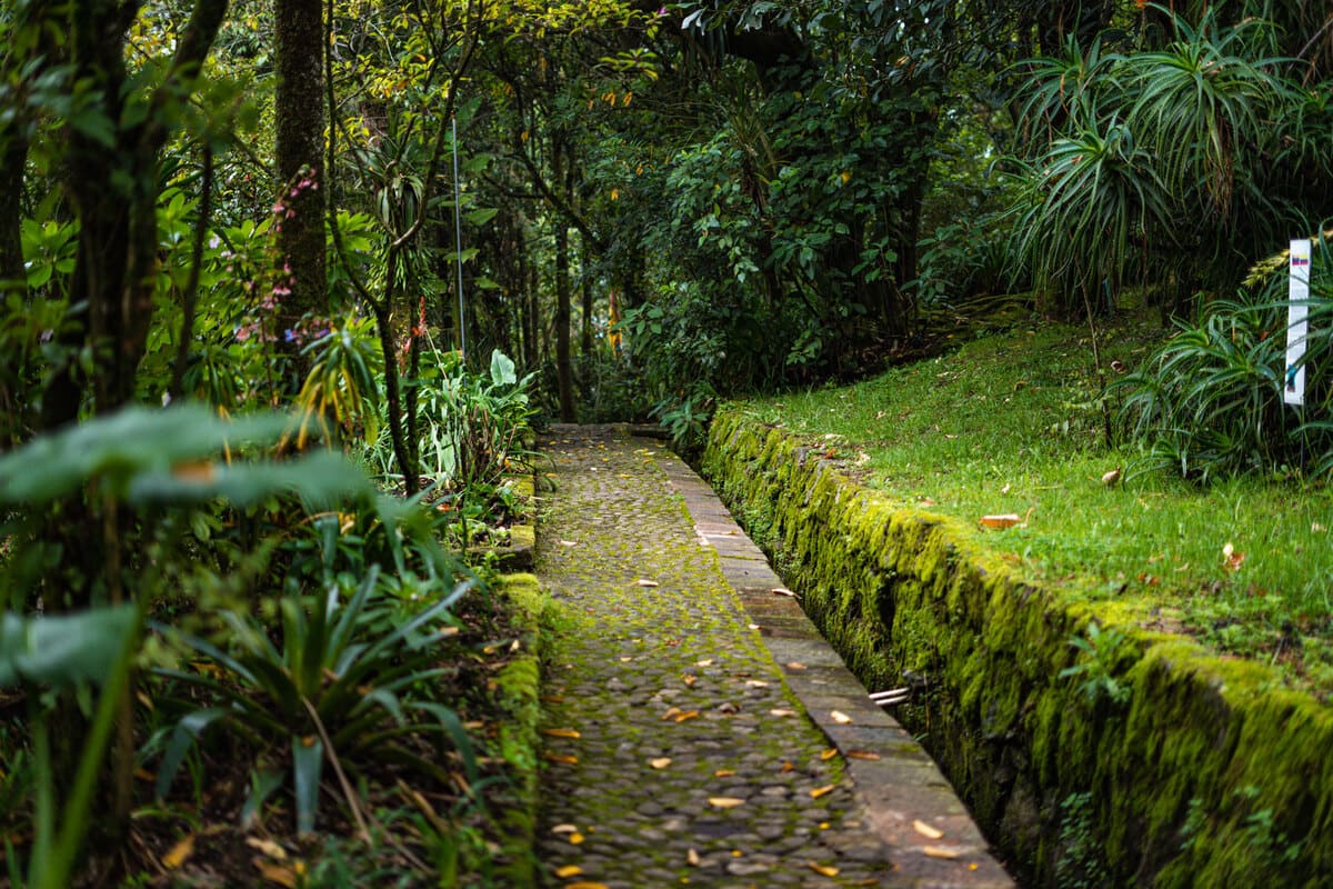 Este sendero conduce a la huerta y a varios jardines del museo histórico Quinta de Bolívar. Fotografía: Manuela Picón Reina - IDT