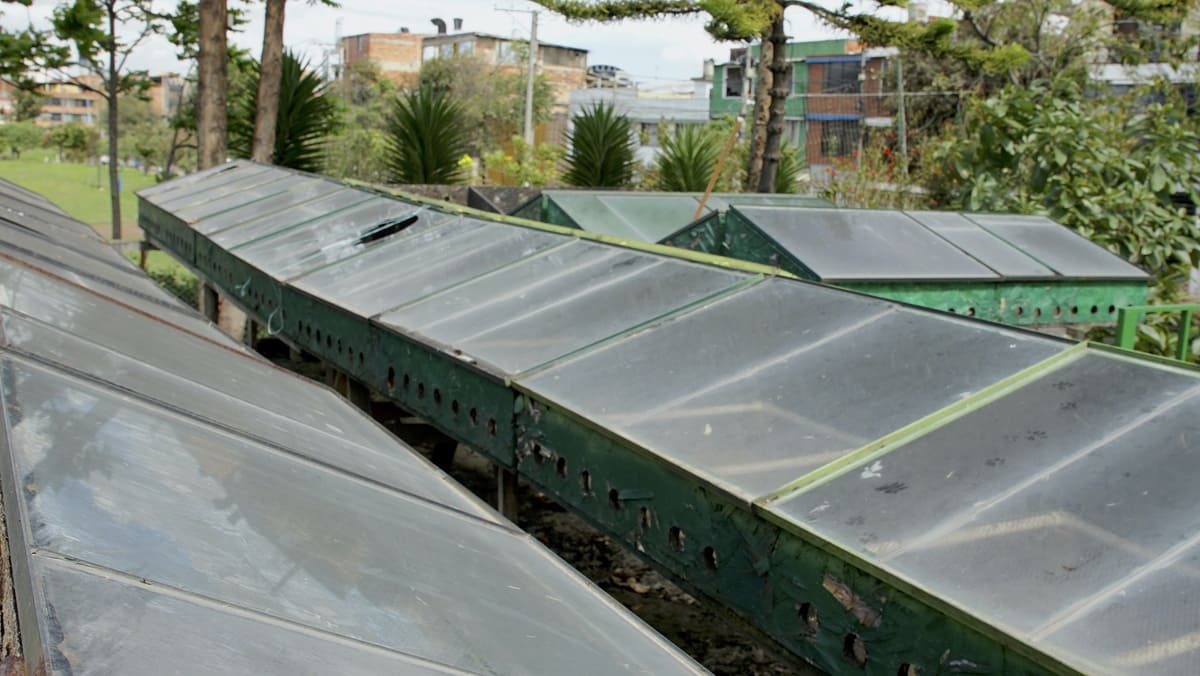 Proceso de tratamiento de los residuos orgánicos de la Huerta Carvajal Osorio. Foto. Santiago Rincón -IDT