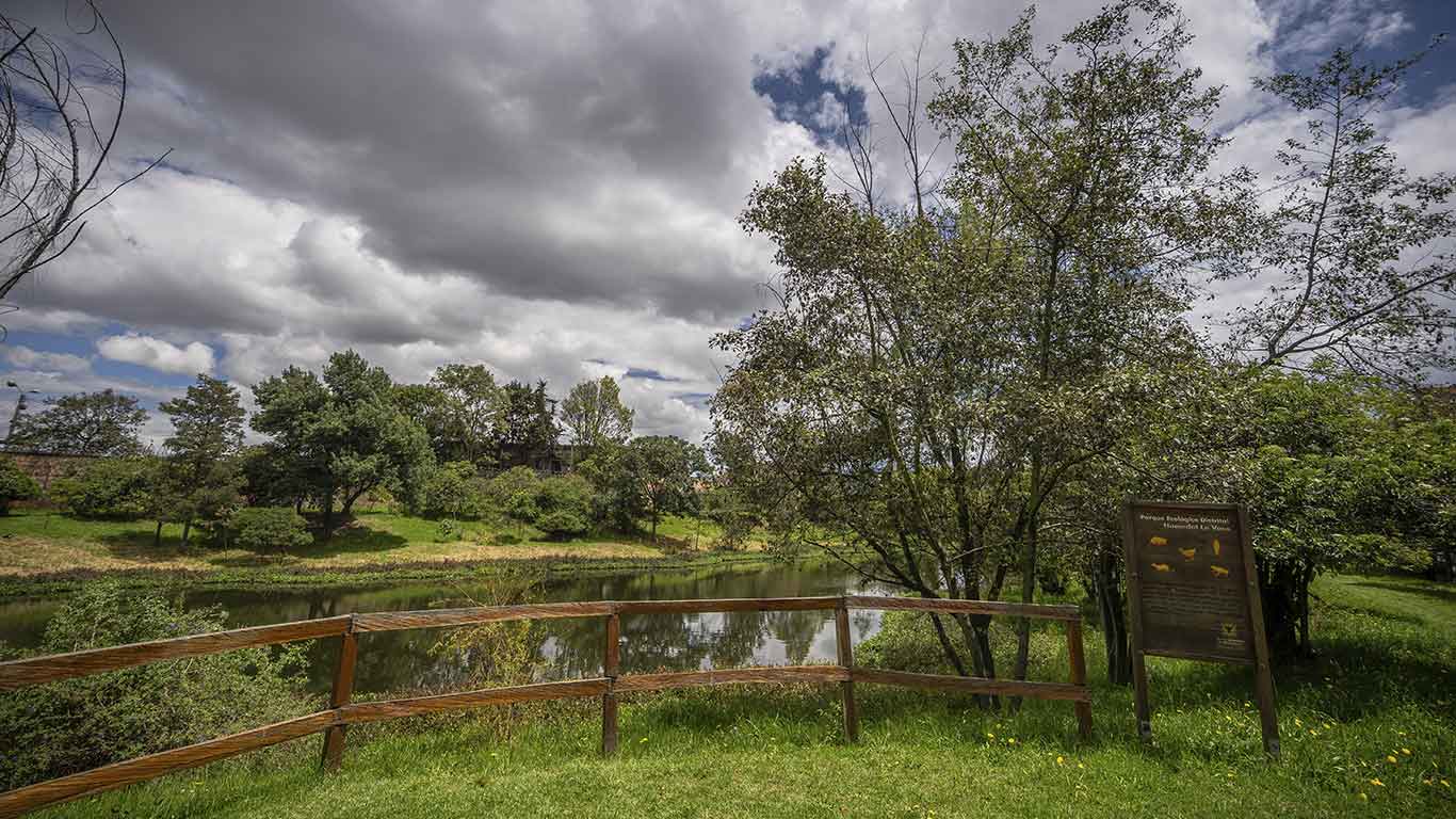 La Vaca Wetland