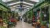 Plaza de Mercado Paloquemao