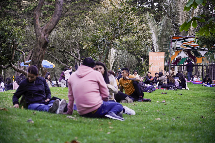 Festival Lectura Bajo los Árboles