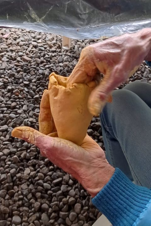 Campesino por 1 día