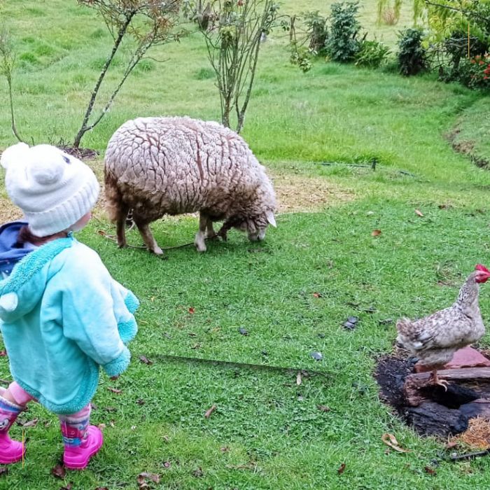Campesino por 1 día