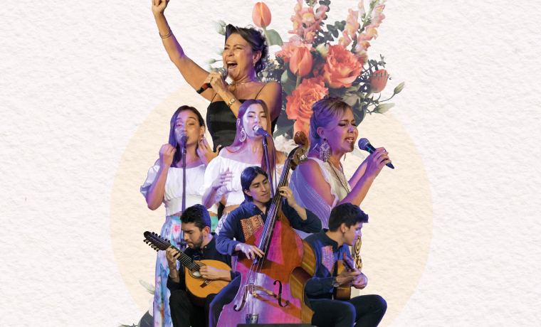 Festival de Música Andina Mono Núñez