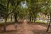 Park Way