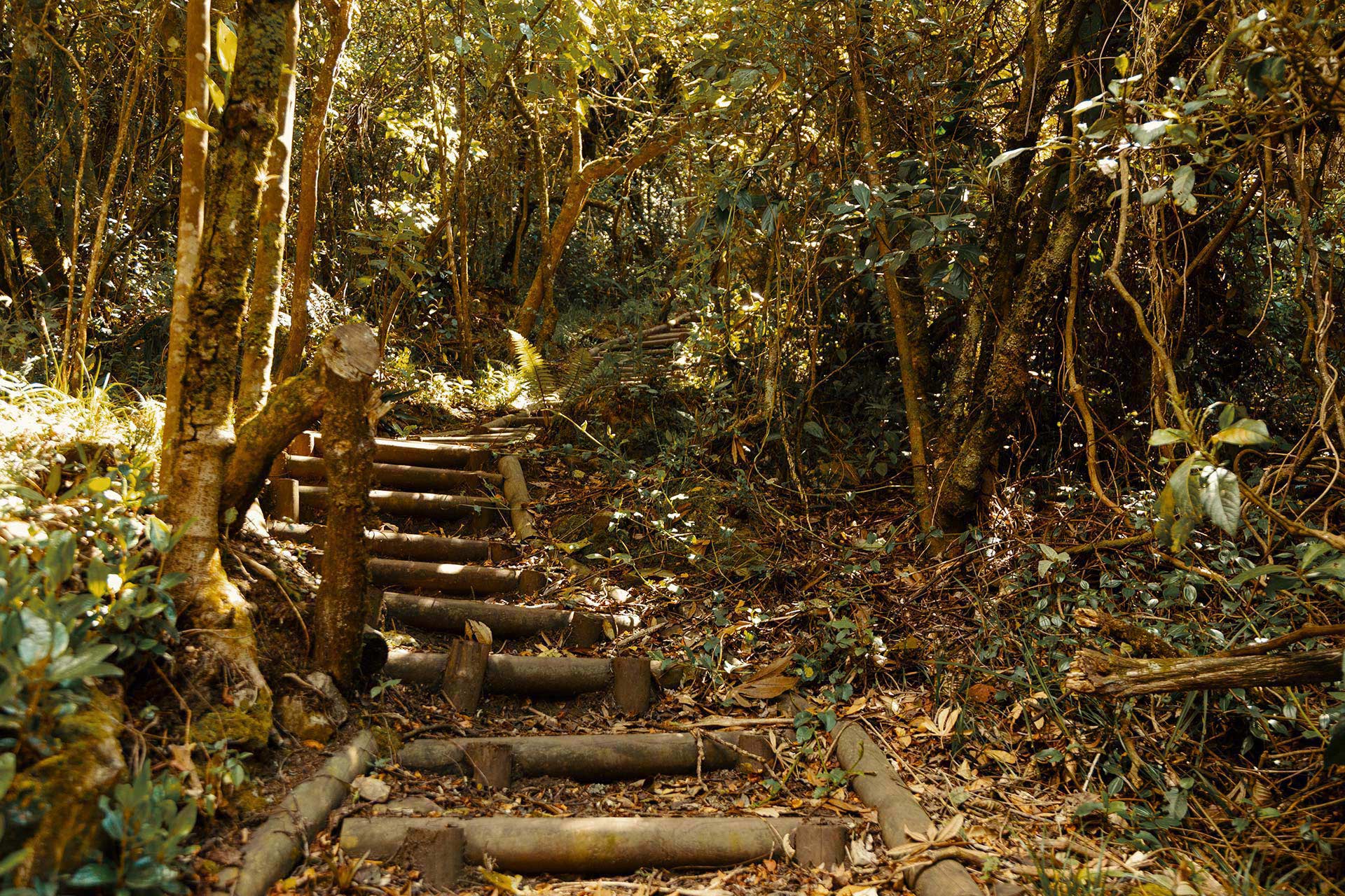Sendero Vizcacha