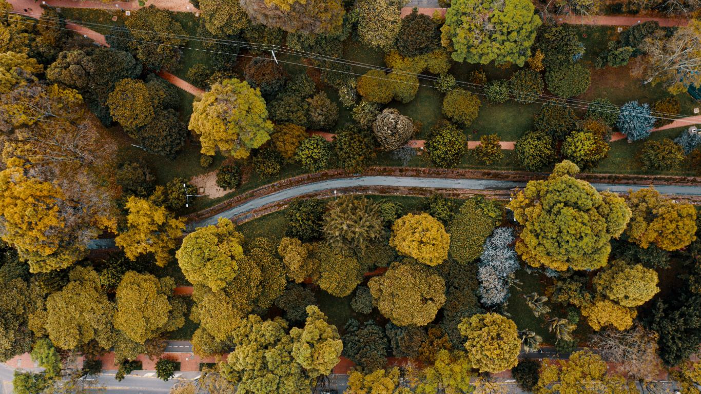 Parque El Virrey